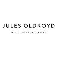 Jules Oldroyd Photography