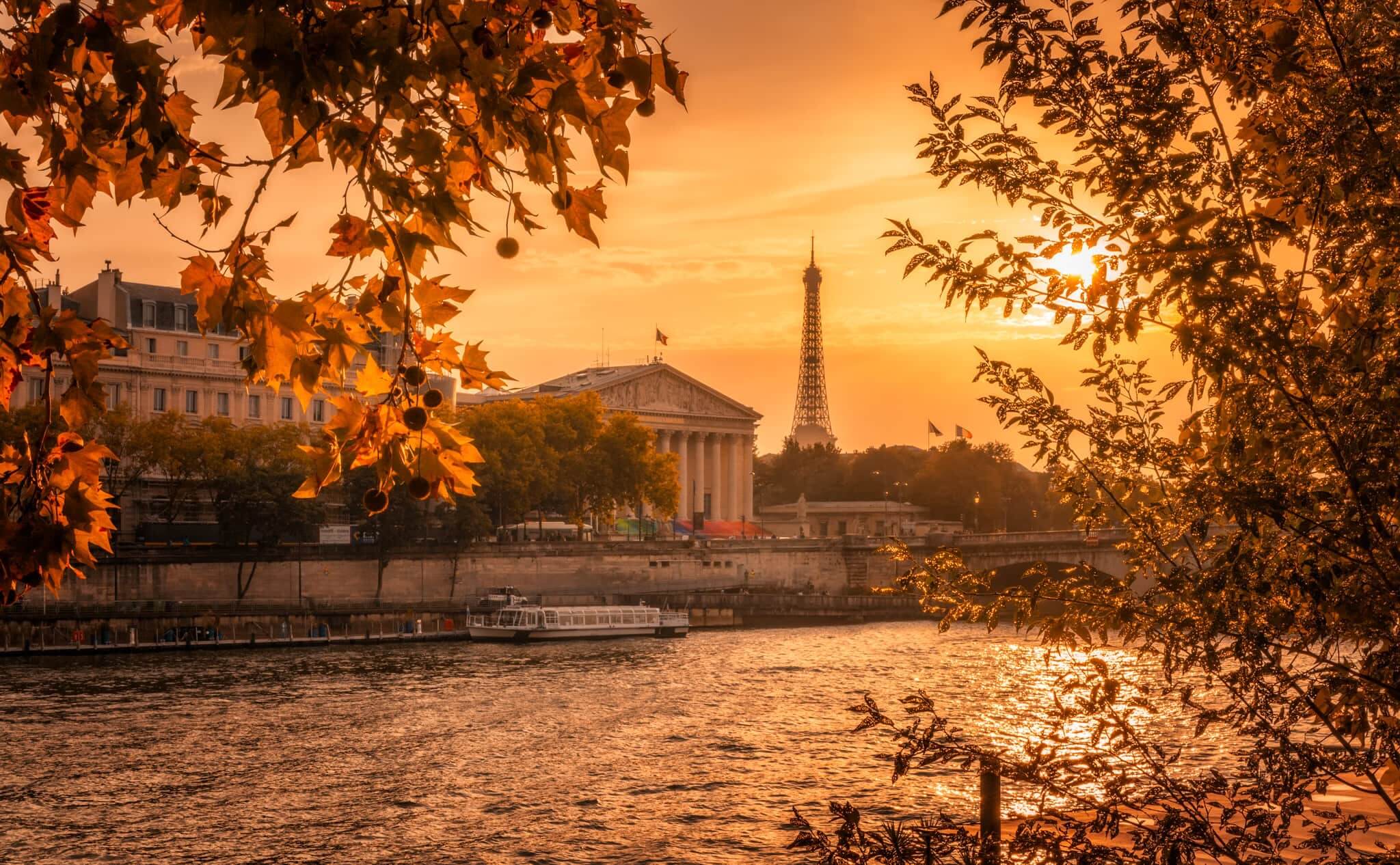 Paris in Autumn by Nico Trinkhaus