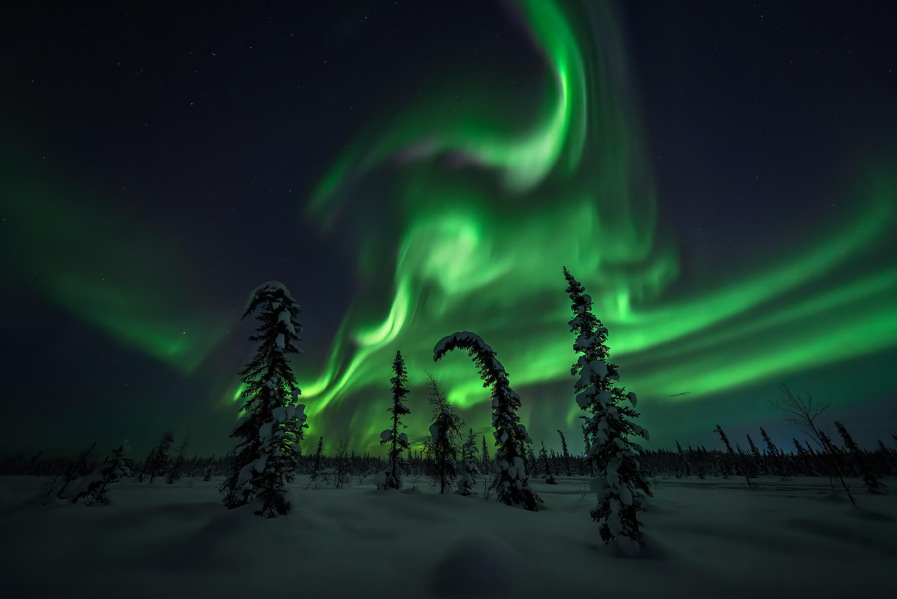 Northern Lights in Alaska by Michael Schultz of Face The Outdoors Photography