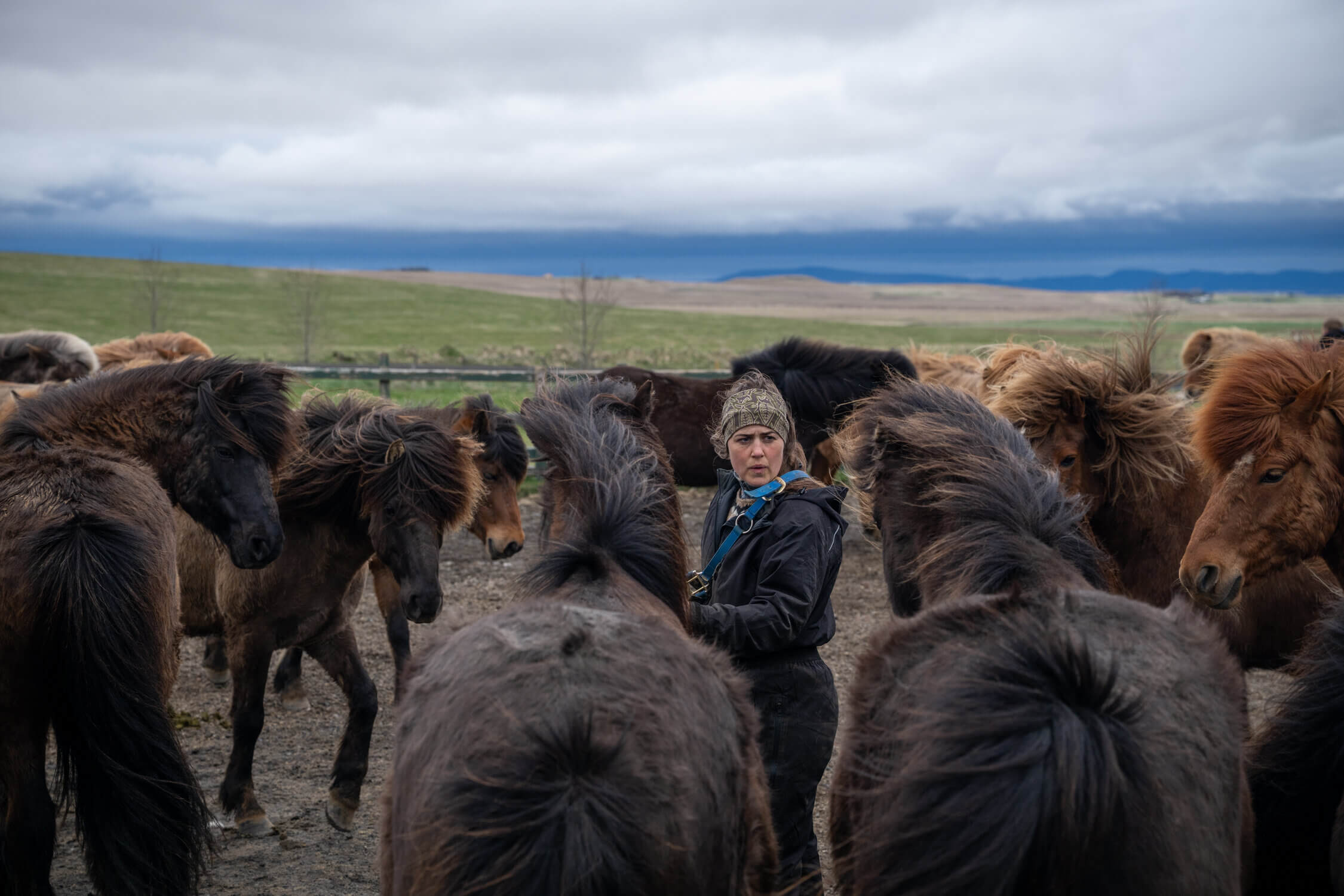 A woman among a large herd of horses with their hair blowing in the wind