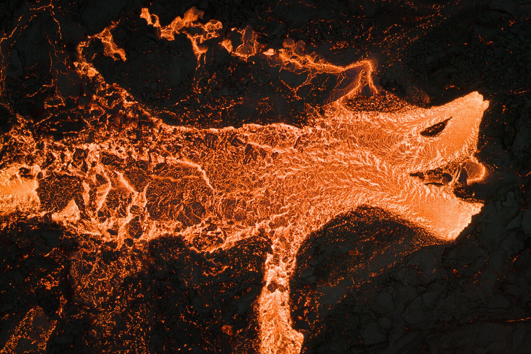 A dragon forms out of lava, captured by photographer Jeroen Van Nieuwenhove