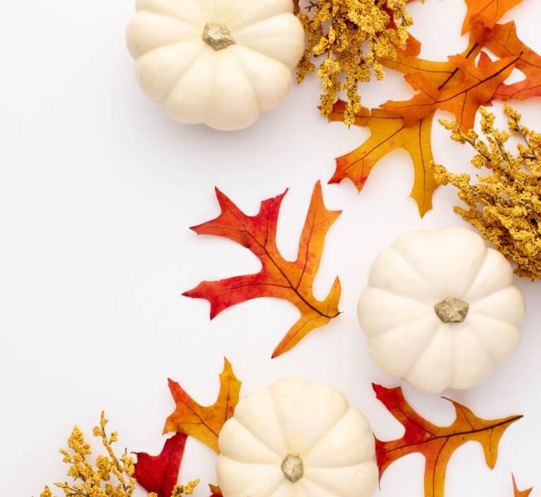 Autumn leaves and pumpkins